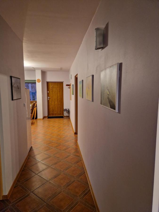Sosnowy Mlodnik Farm stay *
