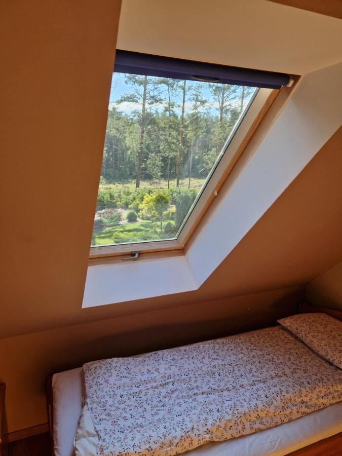 Farm stay Sosnowy Mlodnik Plaska